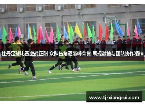 牡丹足球比赛激战正酣 众队伍角逐巅峰荣誉 展现激情与团队协作精神